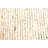 Sienna Tan Rug 5'3" x 7'11"