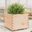 9 Wood Planter-100492045-100492046