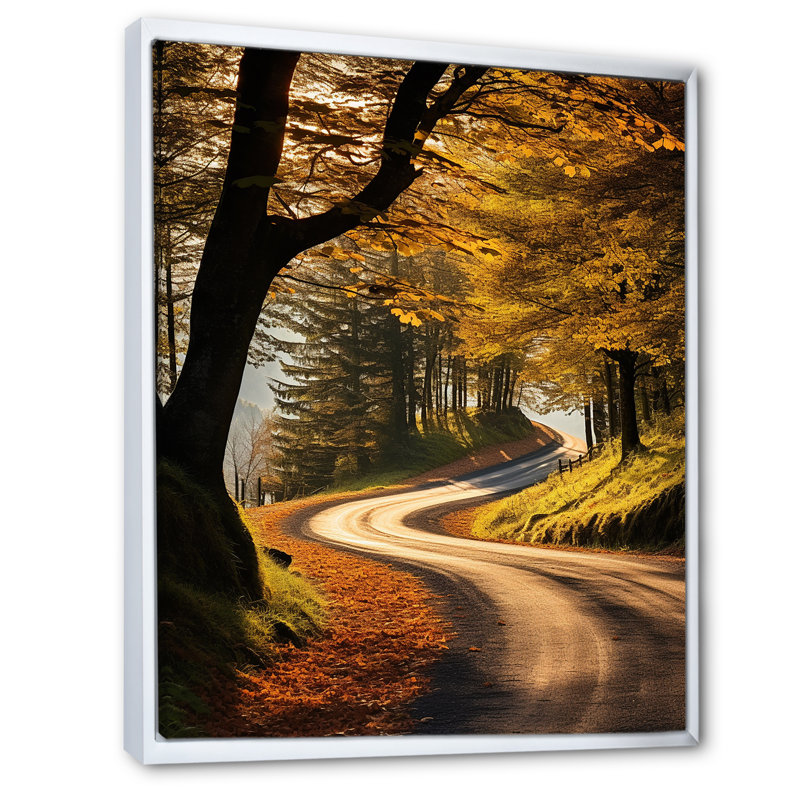 Chemin d'automne dans la forêt II, Cadre flottant blanc, 40" H x 30" W