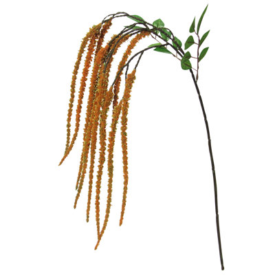 Tige de fleur d'amaranthe