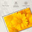 Marguerites jaunes Harnek-108733651