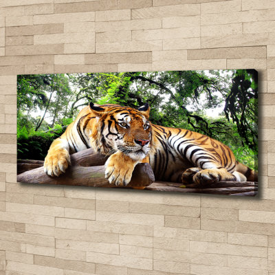 Tiger On The Rock - No Frame Print on Canvas