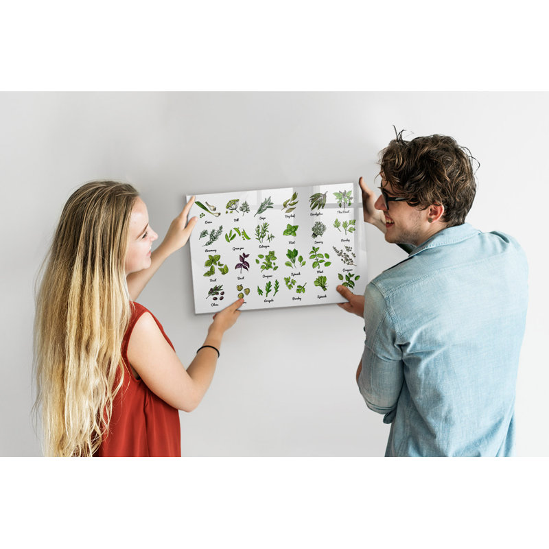 Magnetic Memo Board Whiteboard - 60 x 40 cm - Includes Marker and Magnets - Types of trees