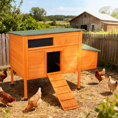 Insulated Chicken Coop Outdoor