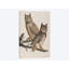 « great corned hibou », reproduction d’impression sur toile-28626410-72449941-72449950