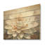 Beige plante grasse moelleuse - art sur bois de pin naturel-101404937