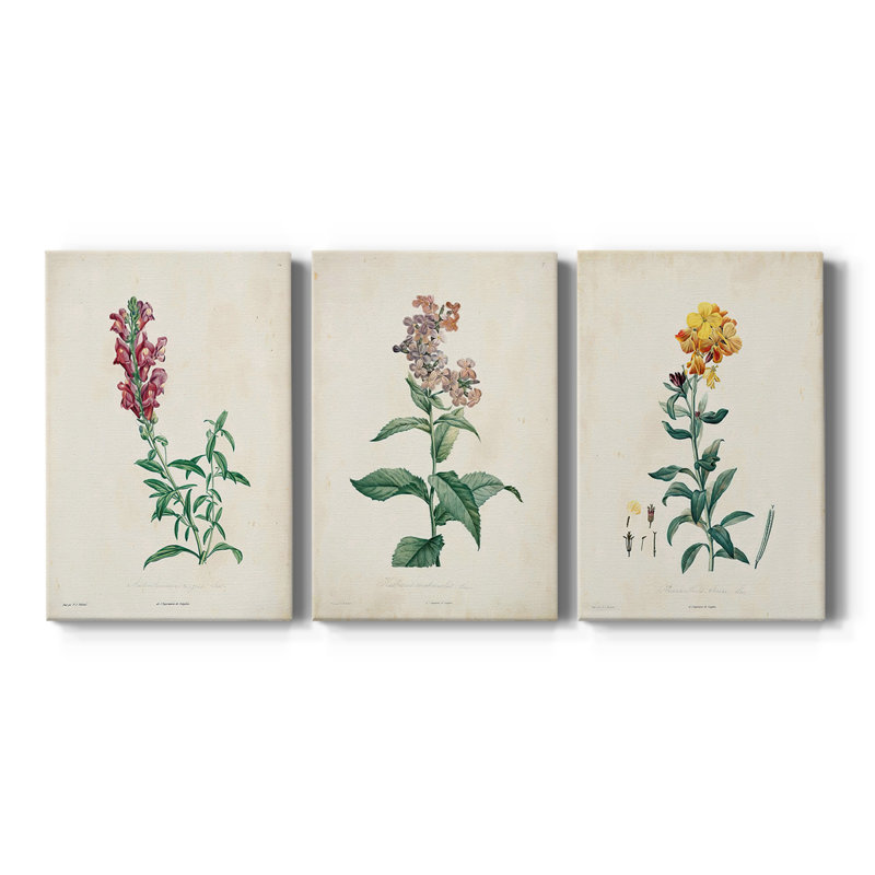 Traditional Botanical I - Toile tendue avec châssis sur mesure - 3 pièces, H 60 po x l 120 po