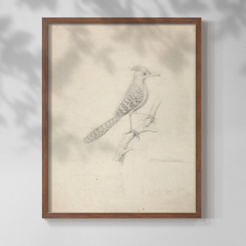 "Croquis rétro XXIV" sur papier, Noyer