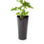 Pot à fleurs en plastique Leyanna-87829432