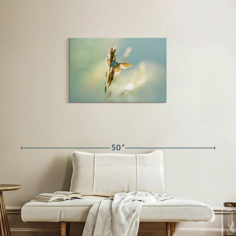 Brampt Icarus Butterfly, 20" H x 30" W