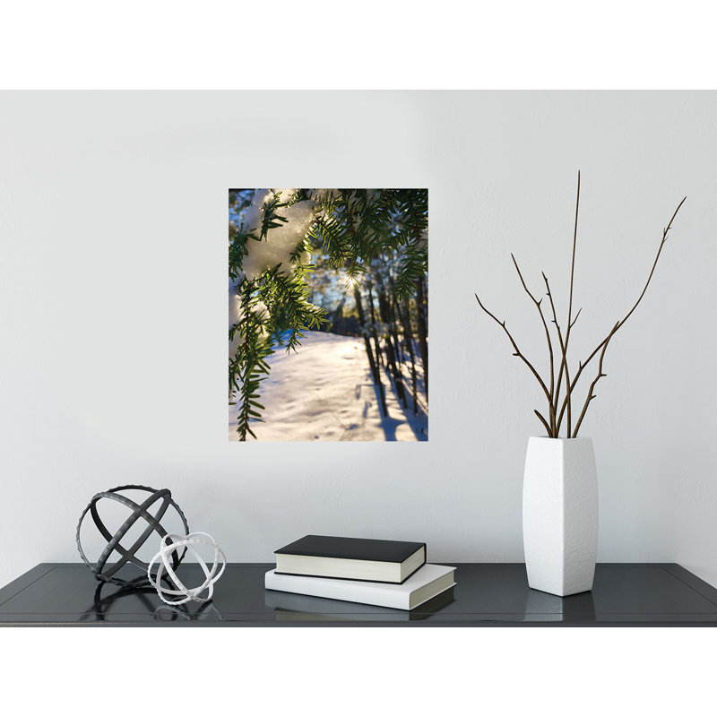 Couverture hivernale - photographie, H 16 po x l 12 po x P 0,15 po, Papier, Pas de tapis