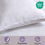  ensemble d'édredon 3 pièces en microfibre douce avec taies décoratives-124637939-124429643