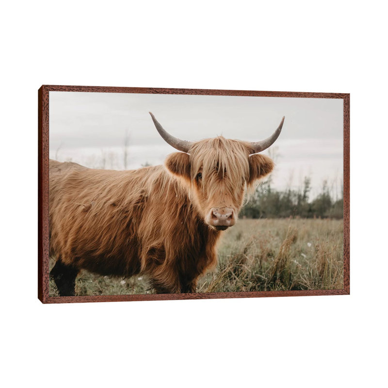 Stoic Highland Cow by Chelsea Victoria - Print on Canvas, Classic Brown Wood Framed, 66.04 cm H x 45.72 cm W