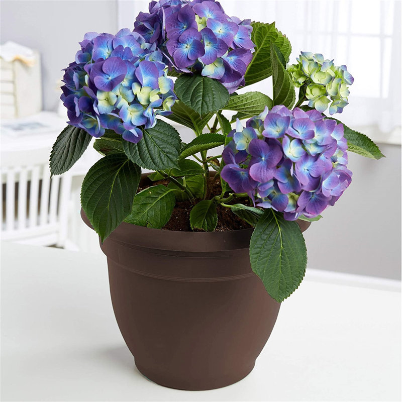 Ketzaly Pot Planter, 7" H x 8.75" W x 8.75" D,  Chocolate
