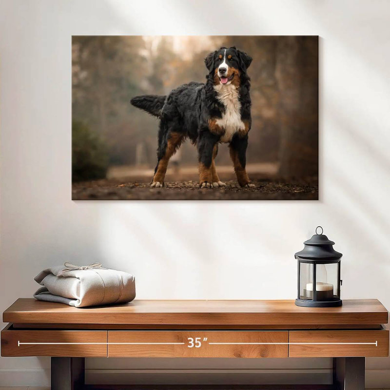 Brampt Bernese Mountain Dog, 16" H x 24" W