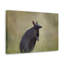 No Frame Print on Canvas