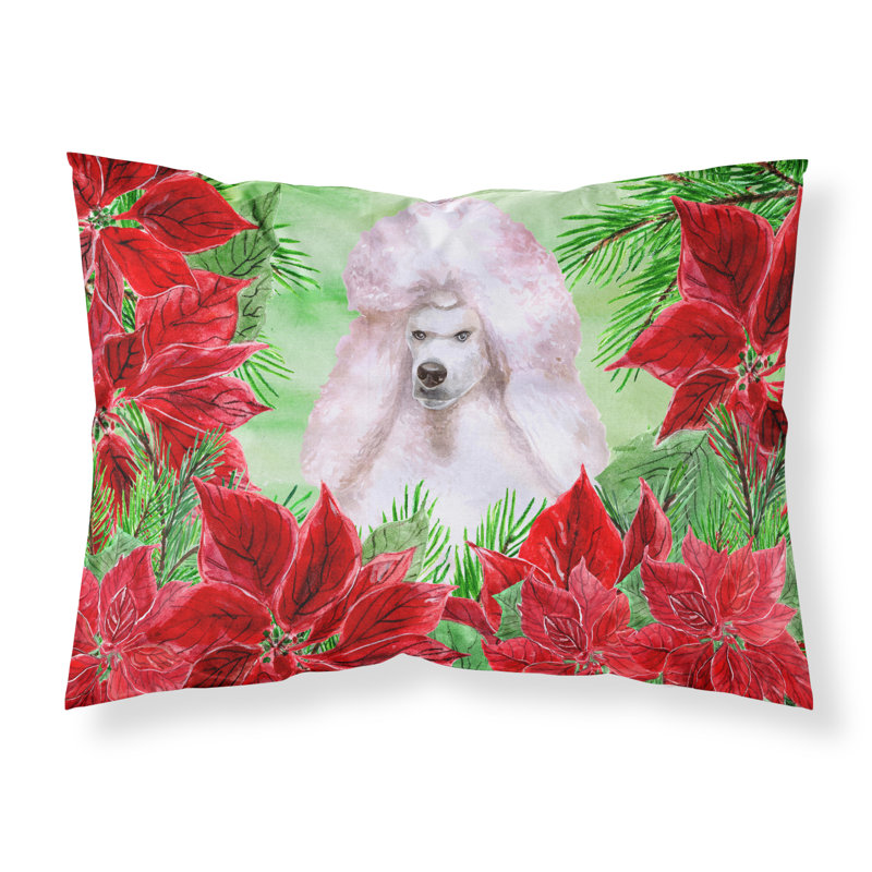 Taie d’oreiller poinsettas, Caniche standard blanc