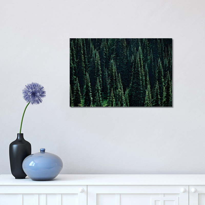 Fir Forest by Dennis Frates - Print on Canvas, Wrapped Canvas, 30.48cm H x 45.72cm W x 1.91cm D