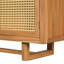 Armoire de rangement Adair Mid-Century moderne en bois d'acacia avec portes en osier de polyéthylène pour patio et jardin