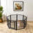 Iron Yard Kennel-101515248