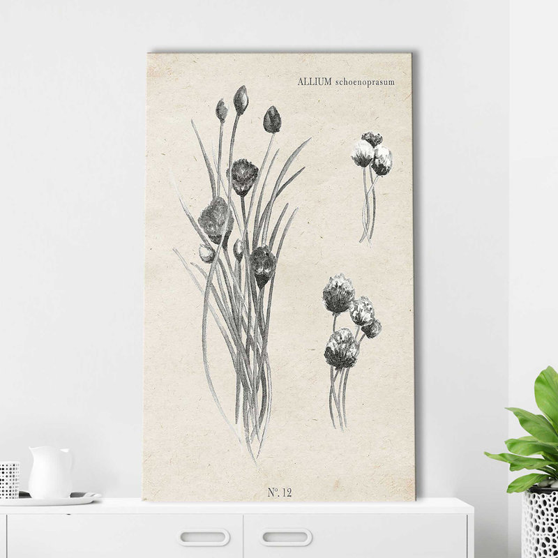 Latine botanique III par Janice Gaynor - impression, H 48 po x l 28 po x P 1,5 po, Toile tendue