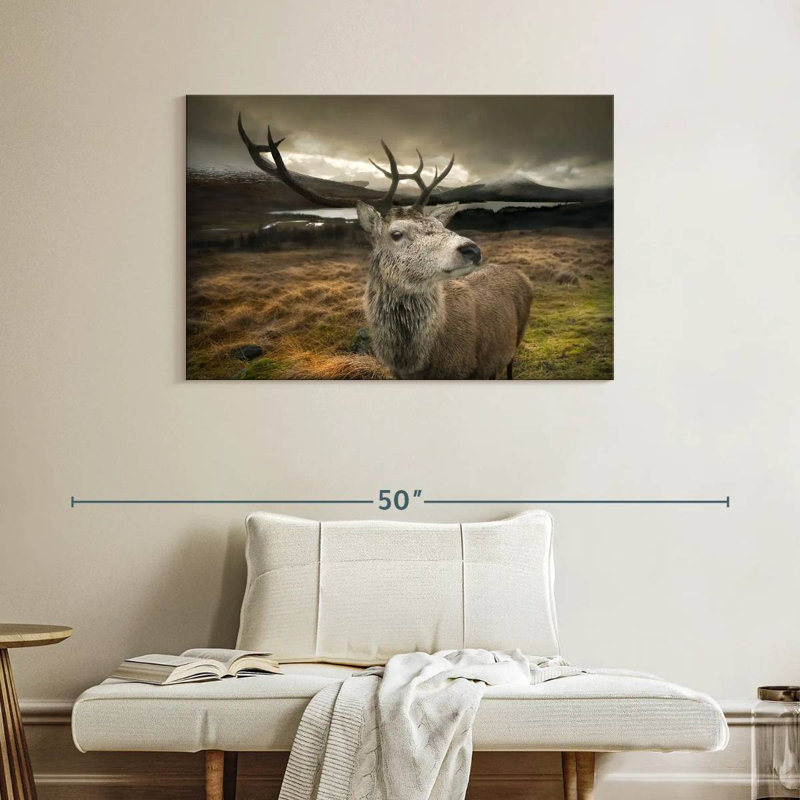 Cerf photogénique, H 26 po x l 39 po