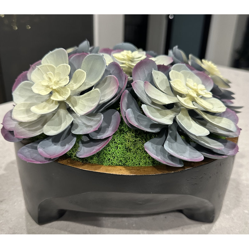 Design succulent sur un vase en bois noir et brun | Arrangement de plantes grasses artificielles minimalistes