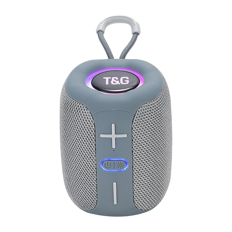 Haut-parleur portatif sans fil Bluetooth, Gris