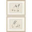 Illustration de lapin S / 2