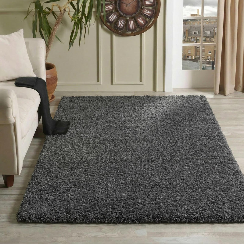 Esterly Solid Colour Shag Area Rug, Rectangle 120 x 170cm