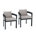 Dark Gray Frame/Beige Cushion