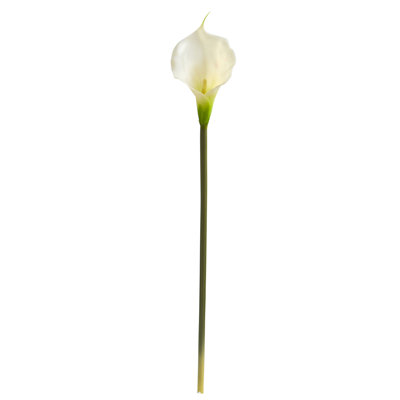 Tige de lys Calla