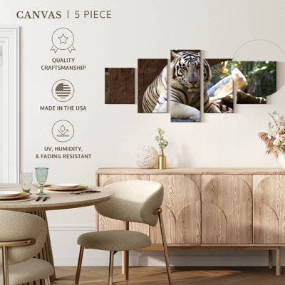 Tigre blanc au repos