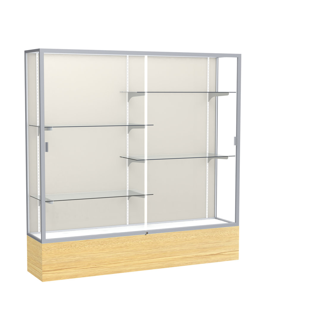 Reliant Series 72'' H x 72'' W Metal Trophy Display Case Ghent Back 