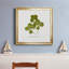 «Pressed Clover II», reproduction encadrée de qualité supérieure - prête à être accrochée-1334850718-1334850719-1334850713