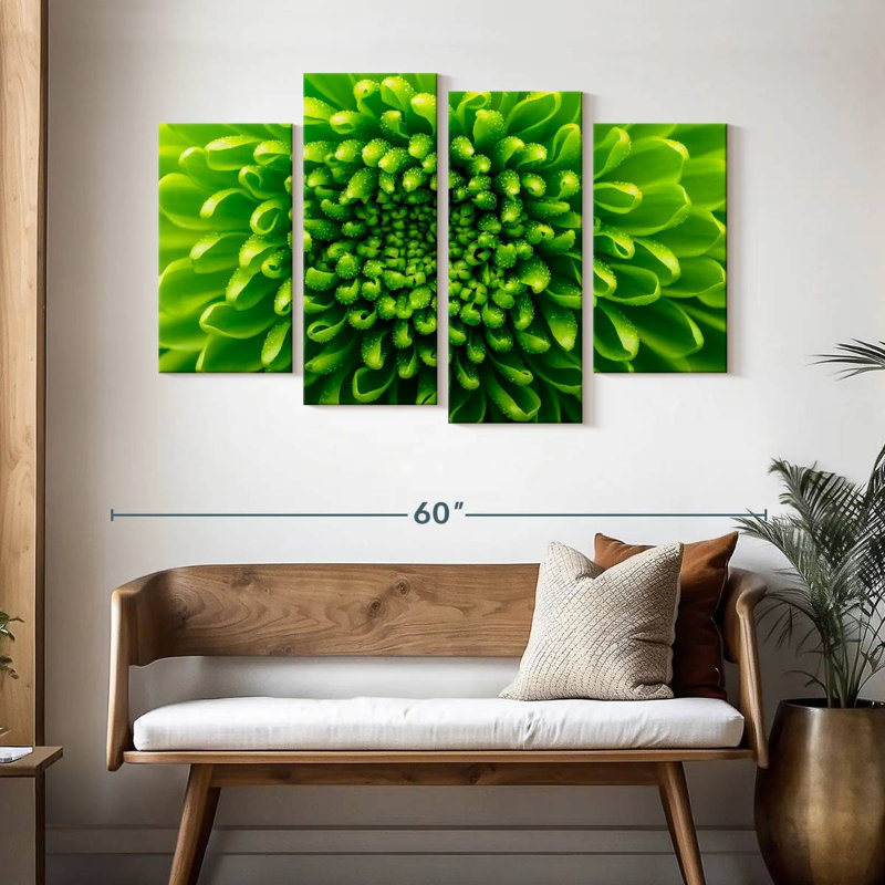 Chrysanthème vert Harnek, H 32 po x l 52 po