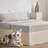 Pleated Bed Skirt-722742178-758288385