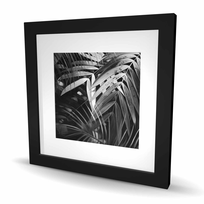 Impression de feuilles tropicales monochromes | Décoration florale exotique