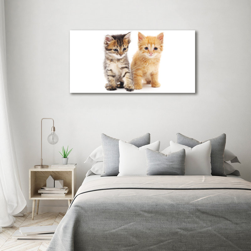 Brown And Red Cat - No Frame Print on Canvas