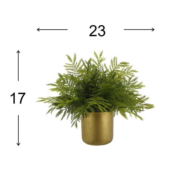 UV Rated Outdoor Ostrich Fern in Fiberstone Pot