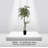 Handmade Artificial  Olive Tree with Real Wood