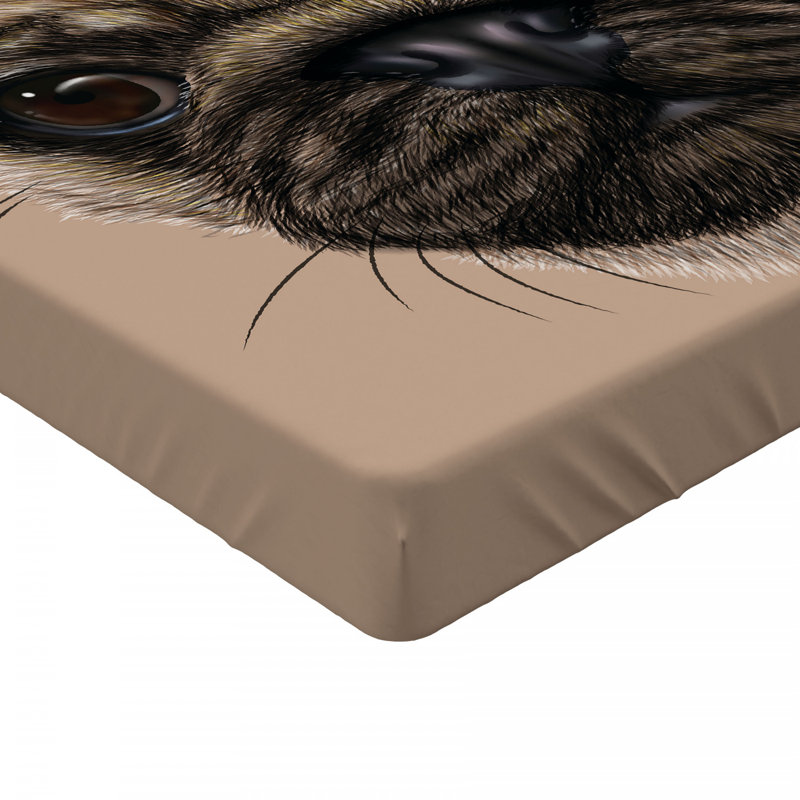 Microfiber Fitted Sheet, Full Fitted Sheet