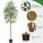 83'' Faux Olive Tree Tree in Pot