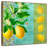 Yarlin Citrus Lemon Floral