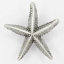 2" Starfish Small Knob-104674675-39948825-126755979