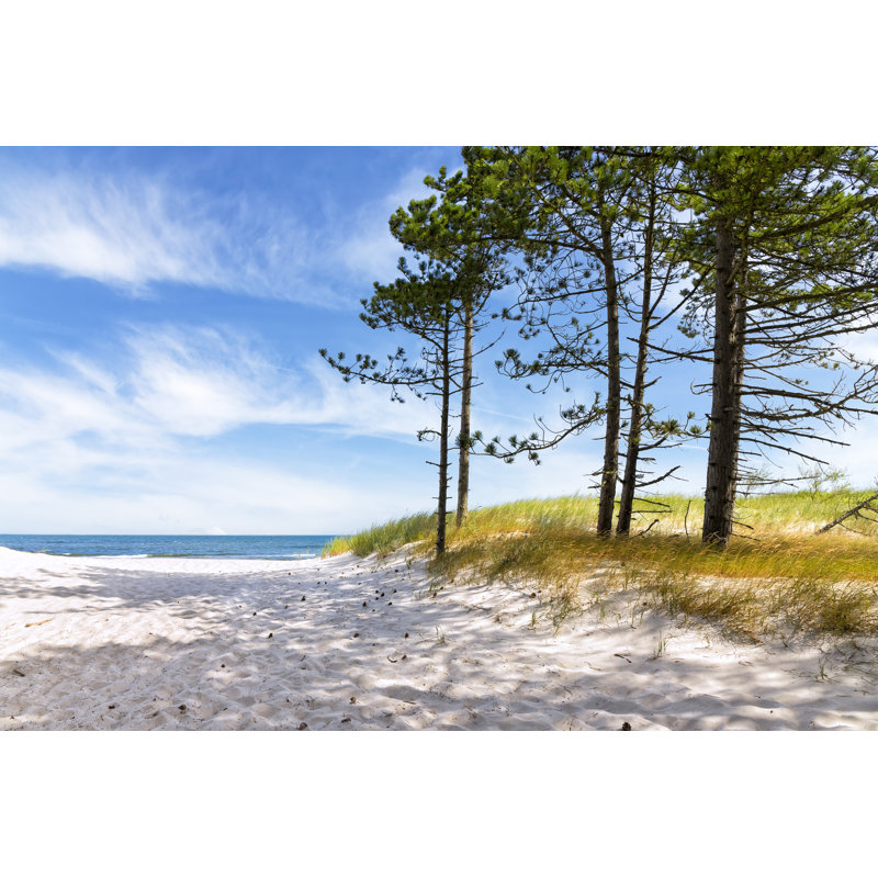 Summer View by Ewg3D - Wrapped Canvas Print, 81cm H x 122cm W