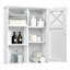 Tidwell Wall Bathroom Cabinet