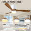 Ventilateur de plafond 52 po avec lumière-504936585-504936584