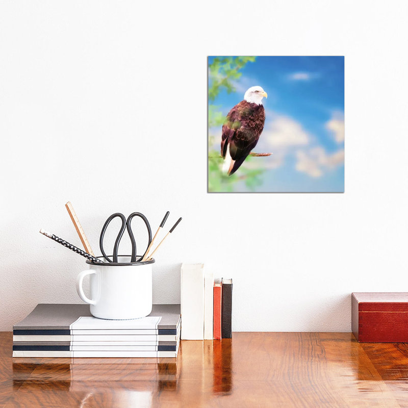 American Bald Eagle Perched On Tree by Susan Richey - Gallery-Wrapped Canvas Giclée on Canvas, 30.48 cm H x 30.48 cm W