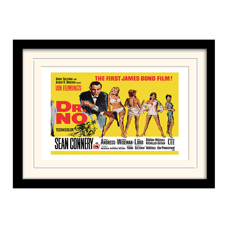 Single Picture Frame Print